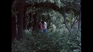 Classic Movie Clip.1 (Butterflies-1975) HD