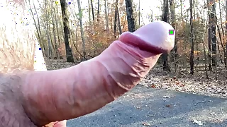 Clitlicker662 - update #21 - IMG 1257 - Nov 26, 2024